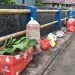 Pemkot Ternate Belum Mampu Atasi Masalah Sampah