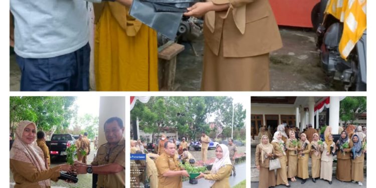 Kendalikan Inflasi Dinas Ketpang Serahkan Ribuan Bibit Cabe dan Polibag