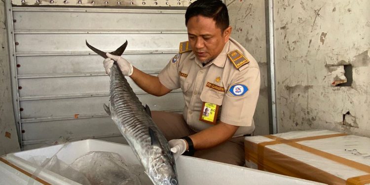 Ekspor Komoditi Perikanan Malut tahun 2023 Menunjukkan Trend Peningkatan yang Positif