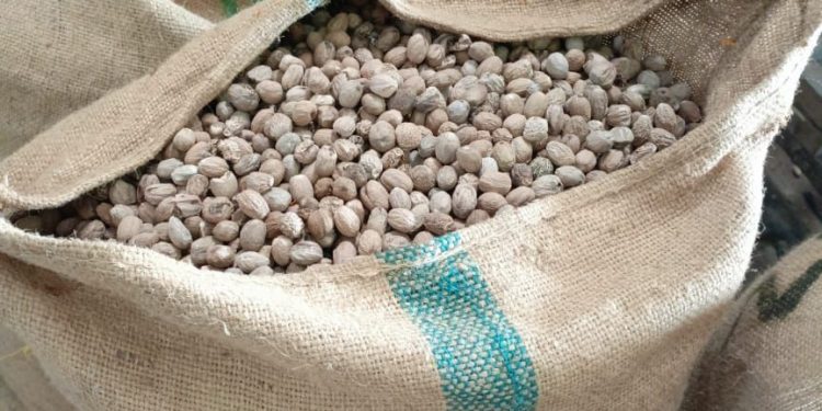 Delapan Ton Biji Pala Tujuan Surabaya Diperiksa Karantina