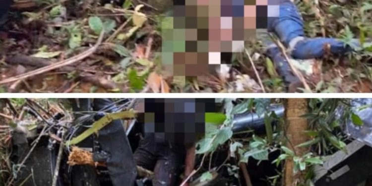 Helikopter Sewa WBN Hilang Kontak di Hutan Halmahera Ditemukan, Tiga Korban Meninggal Dunia