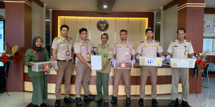 Lagi dan Lagi! Karantina Malut agalkan Upaya Penyelundupan 16 Ekor Satwa Dilindungi