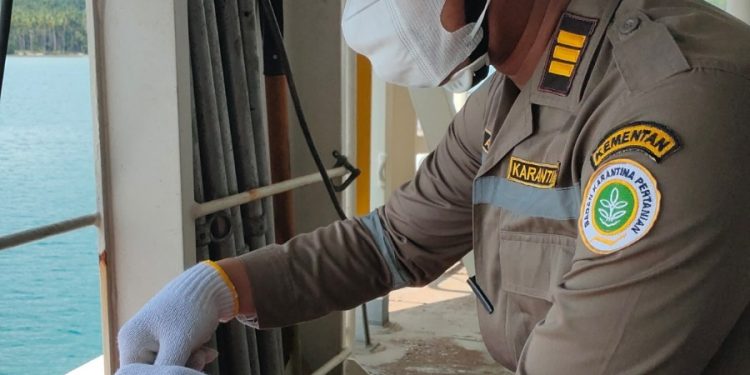 Perdana Wood Pellet Kepsul Untuk Hangatkan Jepang