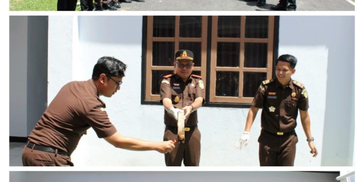 Kejari Halteng Musnahkan BB Berkekuatan Hukum Tetap