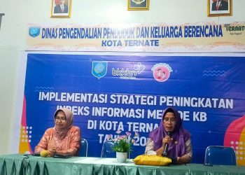 Perkembangan Profesionalisme KB, Workshop Mahasiswa Akbid, Bidan dan PKB