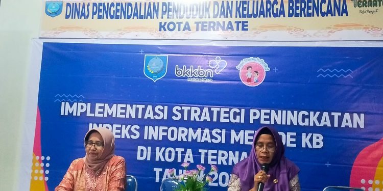 Perkembangan Profesionalisme KB, Workshop Mahasiswa Akbid, Bidan dan PKB
