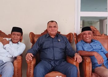 Janlis Tegaskan Partainya Harmonis Berkoalisi dengan Hanura dan Golkar