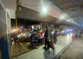 Subsatgas Satwa K9 Gelar Patroli Keamanan di Pelabuhan Feri Galala Sofifi