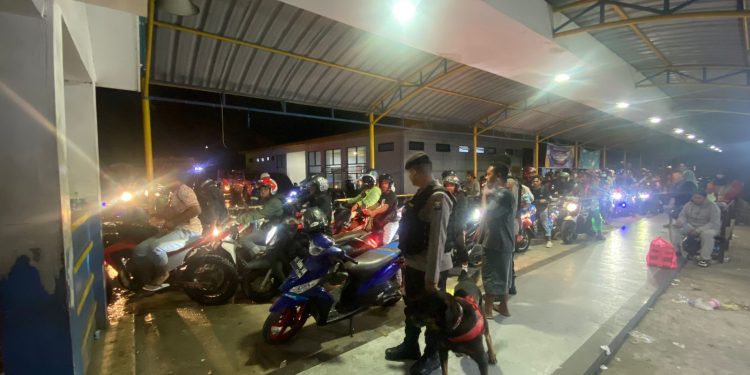 Subsatgas Satwa K9 Gelar Patroli Keamanan di Pelabuhan Feri Galala Sofifi