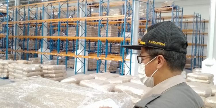 Permintaan Tinggi, Karantina Malut Pastikan Keamanan Puluhan Ton Kelapa Parut Sebelum dilalulintaskan Menuju Surabaya