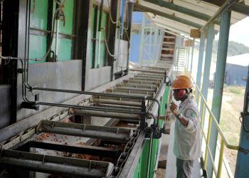 PT GMM Buka Kesempatan Putra Putri Halmahera Selatan Untuk Berkarier di Kampung Sendiri