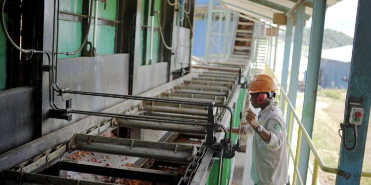 PT GMM Buka Kesempatan Putra Putri Halmahera Selatan Untuk Berkarier di Kampung Sendiri