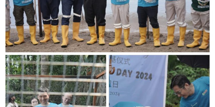 Weda Bay Project Mulai Penanaman 1 Juta Mangrove