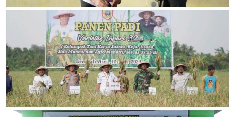 Sekkab Halteng Resmikan Saung Tani, Panen Padi Varietas Inpres 32 dan Penyerahan Alsinta