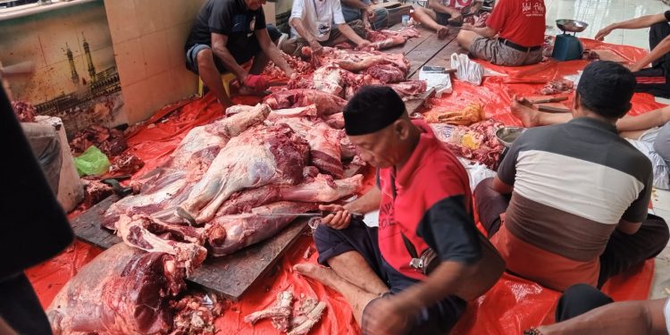 Alkhairaat Kalumpang dan Masjid Ijtima’ul Ikhwan Salurkan Hewan Qurban