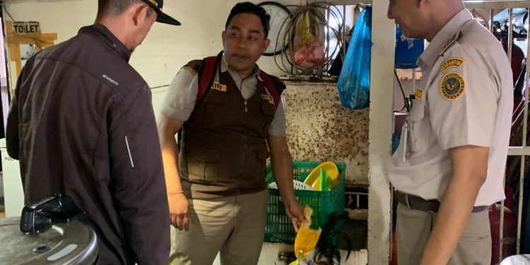 Barantin Kembali Gagalkan Selundupan Unggas, Jaga Malut Tetap Bebas AI