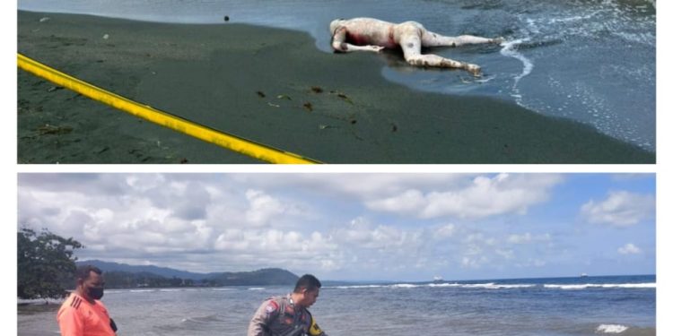 Mayat Laki Laki Tanpa Identitas Ditemukan di Pantai Desa Gamaf