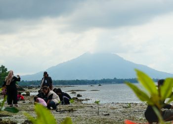 Peringati Hari Mangrove Sedunia, NHM Dukung KKN Kolaboratif Gelar Bakti Lingkungan