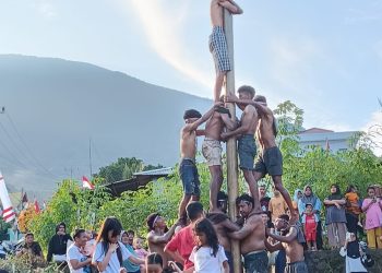 Warga Tabona Gelar Ajang Panjat Pinang