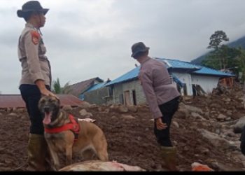 Polisi Kerahkan Anjing Pelacak Bantu Cari Korban Banjir Bandang di Ternate