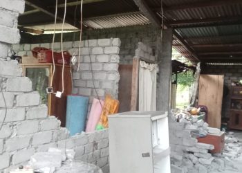 Puluhan Rumah di Morotai Rusak Akibat Gempa Bumi 5,6 Magnitudo