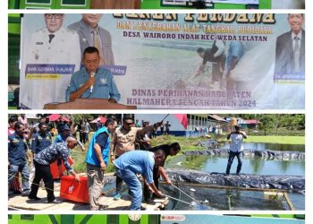 Pj Bupati Halteng Panen Perdana Dan Penyerahan Alat Tangkap, Budidaya di Wairoro