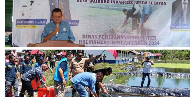 Pj Bupati Halteng Panen Perdana Dan Penyerahan Alat Tangkap, Budidaya di Wairoro