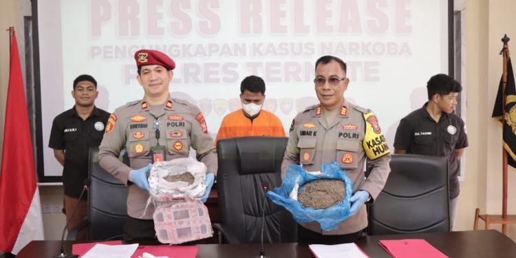 Jemput Narkoba 1,7 Kg Suruhan Napi Lapas Kelas IIA Ternate, Kurir ini Diringkus Polisi