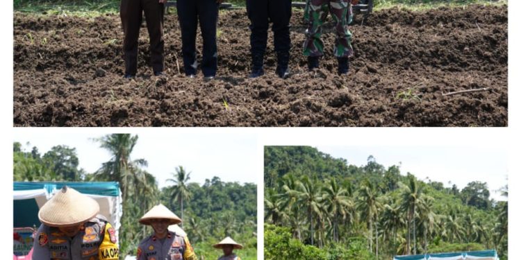 Sekkab Halteng Irup HUT PGRI dan HGN ke 79 di Kecamatan Weda