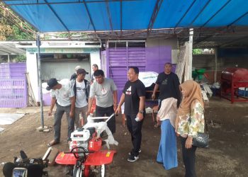 CSR AFT Babullah Berdayakan KWT Bougenville Lewat Pertanian Hortikultura Ramah Lingkungan, Curi Perhatian Kadistan Ternate