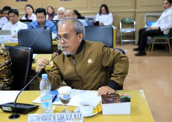 Sultan Hidayat M Sjah Dorong Menpan RB dan BKN Ciptakan Birokrasi Yang Berkualitas