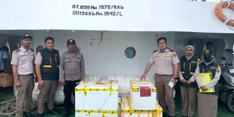 Karantina Malut Temukan Ratusan Kilogram Daging Babi Tanpa Dokumen