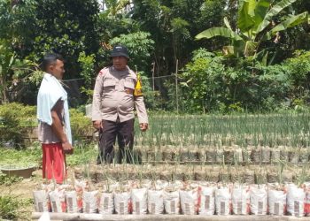 Dukung Ketahanan Pangan, Bhabinkamtibmas Sambangi Petani di Kebun