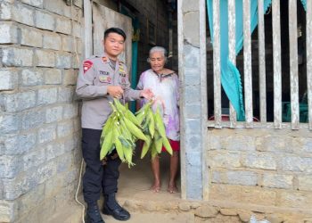 Dukung Program Presiden Kompi 1 Batalion A Pelopor Bagikan Hasil Panen Jagung ke Warga