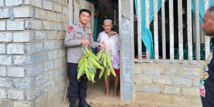 Dukung Program Presiden Kompi 1 Batalion A Pelopor Bagikan Hasil Panen Jagung ke Warga