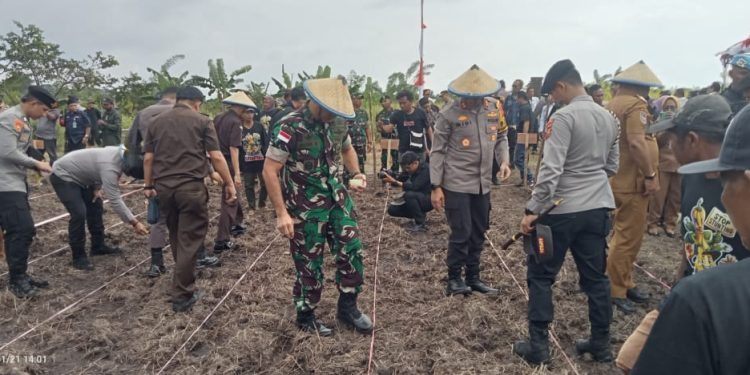 Danrem 152/Baabullah Hadiri Penanaman Jagung Serentak Satu Juta Hektar di Halbar
