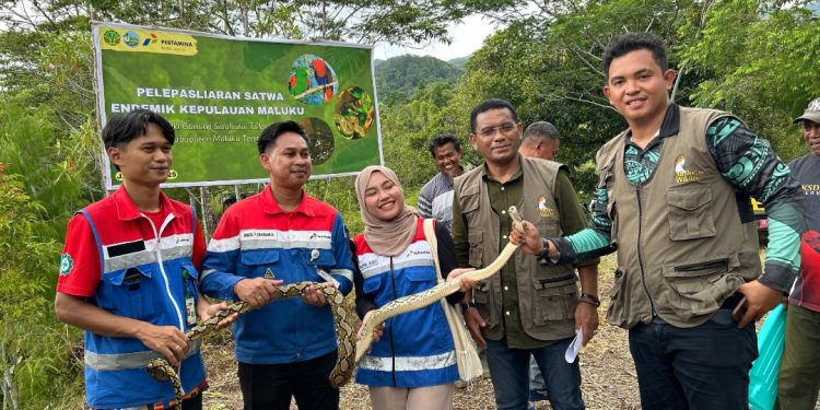 Dukung Keanekaragaman Hayati, Pertamina Patra Niaga Regional Papua Maluku Gandeng BKSDA Lestarikan Satwa Endemik Maluku