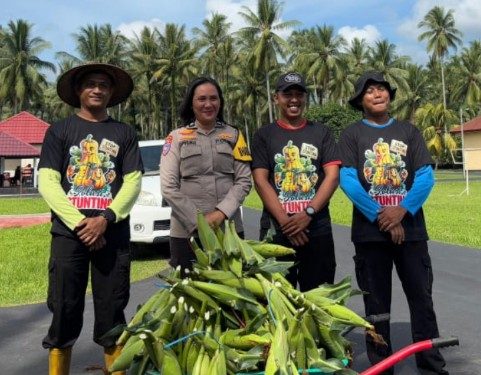 Panen Jagung, Brimob Maluku Utara Distribusikan Hasilnya ke Masyarakat