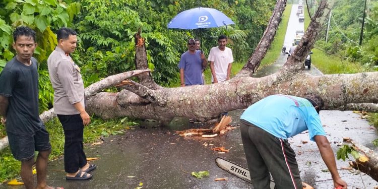 Kapolsek Morselbar dan Warga Gotong Royong Bersihkan Pohon Tumbang