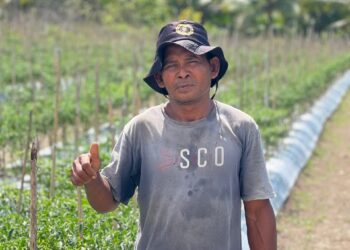 Sukses Sekolahkan Tiga Anaknya, Petani Hortikultura Lingkar Tambang : Terima Kasih NHM