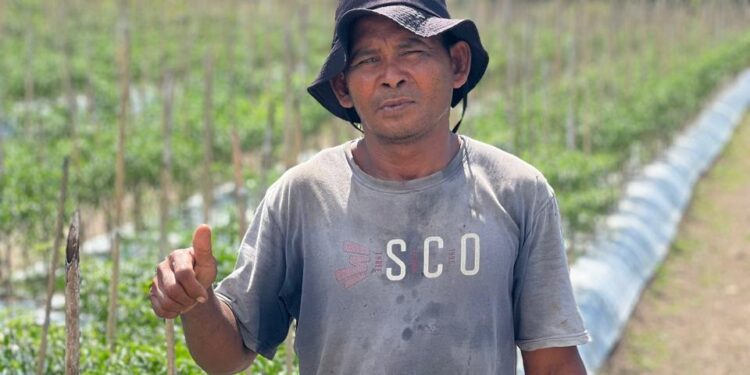 Sukses Sekolahkan Tiga Anaknya, Petani Hortikultura Lingkar Tambang : Terima Kasih NHM