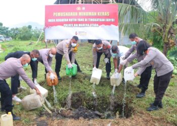 Ratusan Liter Miras Hasil KRYD Dimusnahkan Polres Halut