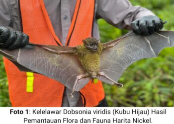 Menjaga Warisan Alam Obi: Harita Nickel Lestarikan Flora dan Fauna Endemik lewat Pemantauan dan Edukasi Karyawan