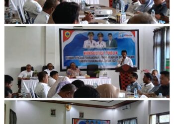 Pemkab Halteng Gelar Konsultasi Publik Ranwal RPJMD 2025–2029, Sekda Bahri Buka Secara Resmi