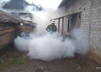 Cegah DBD, NHM Laksanakan Kegiatan Fogging di Kao Teluk
