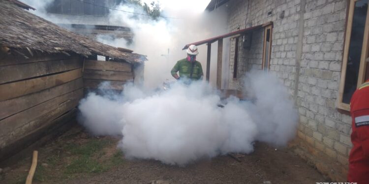 Cegah DBD, NHM Laksanakan Kegiatan Fogging di Kao Teluk