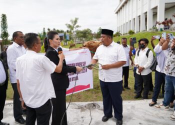 Secara Simbolis Gubernur Sherly Salurkan 11 Ekor Sapi Hewan Qurban Bantuan Presiden