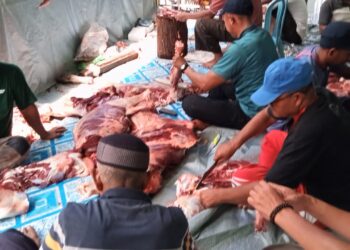 Masjid Ijtimaul Ikhwan Ternate Sembelih 23 Hewan Kurban, Penyaluran Berjalan Lancar