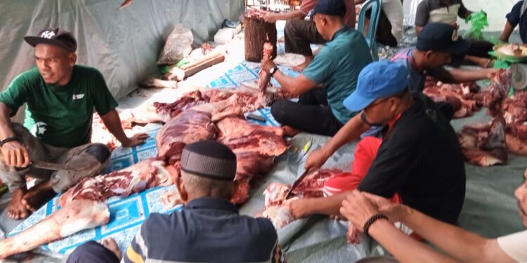 Masjid Ijtimaul Ikhwan Ternate Sembelih 23 Hewan Kurban, Penyaluran Berjalan Lancar