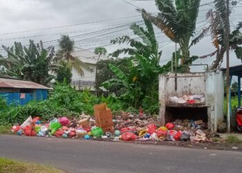 Sampah Menumpuk di Halut, Kadis Salahkan Warga